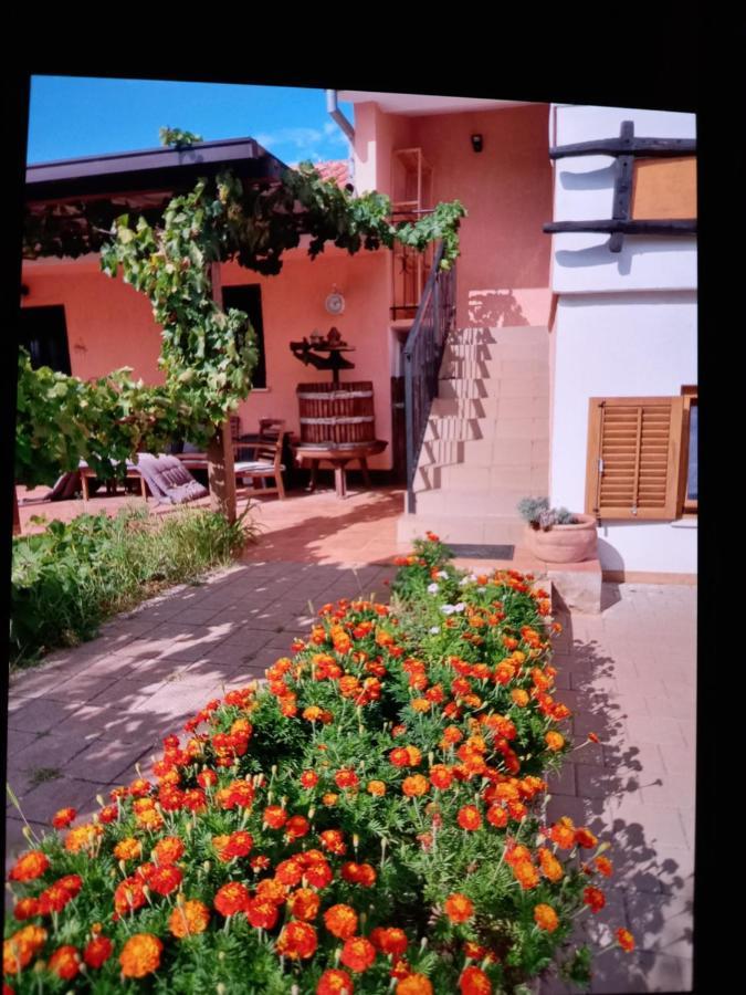 Apartments Garden Monsena Rovinj Exterior photo