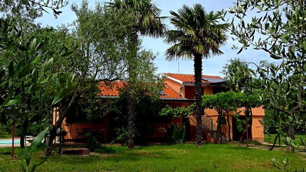 Apartments Garden Monsena Rovinj Exterior photo